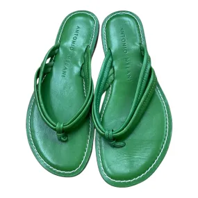 Sandals Flip Flops By Antonio Melani  Size: 7